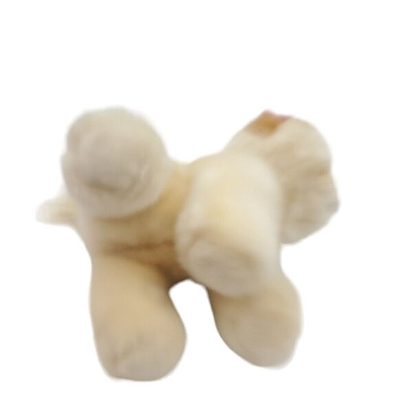 Gund Boo Puppy 'Worlds Cutest Dog' Pomeranian Plush Stuffed‎ Animal Doll Toy 9” - Picture 4 of 7